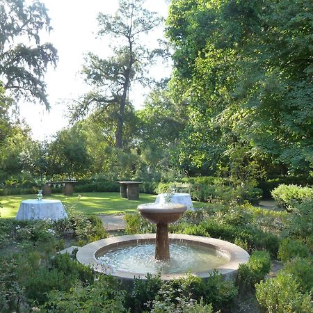 Hacienda Los Lingues Chile Valle De Colchagua Экстерьер фото