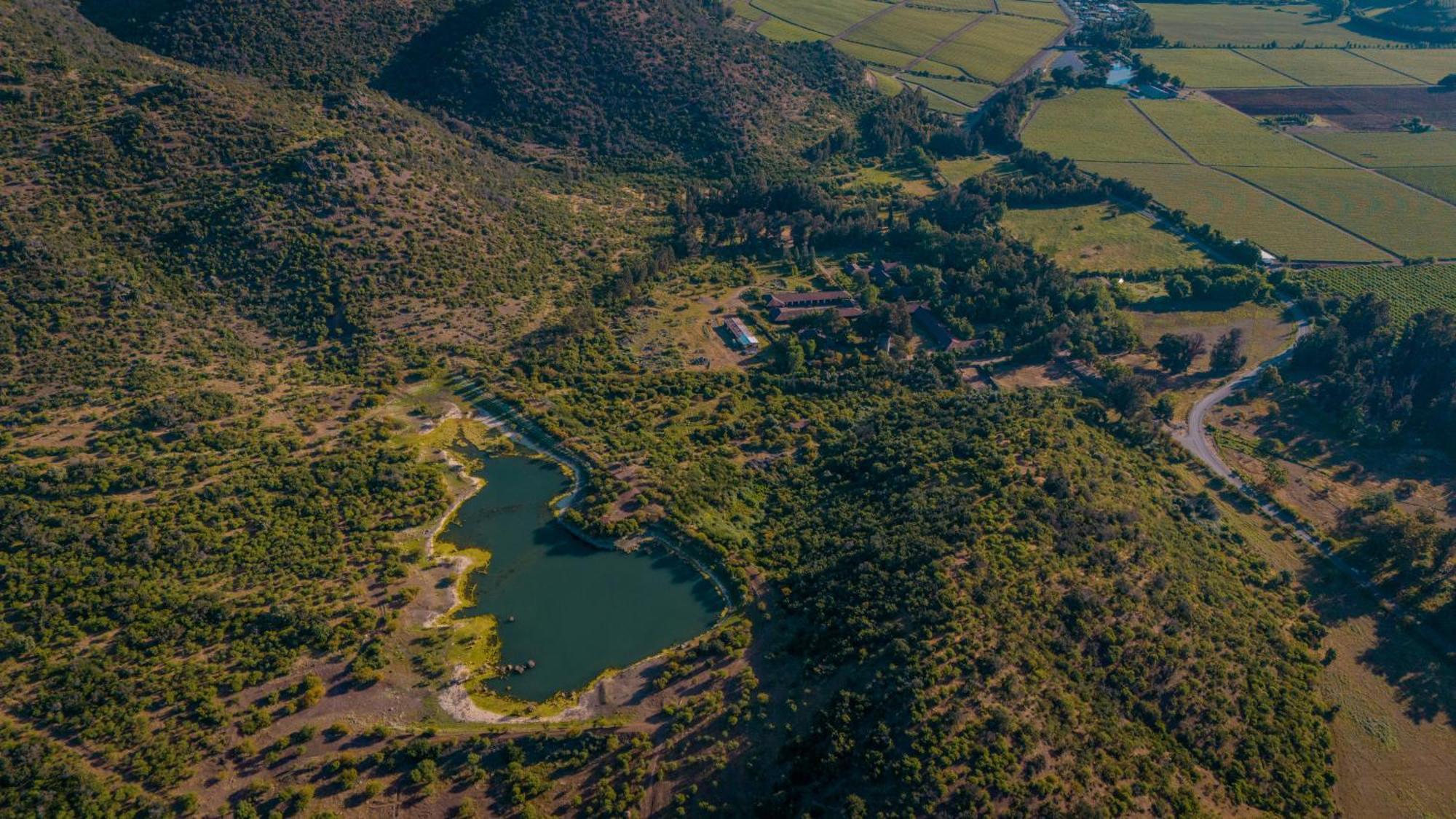 Hacienda Los Lingues Chile Valle De Colchagua Экстерьер фото