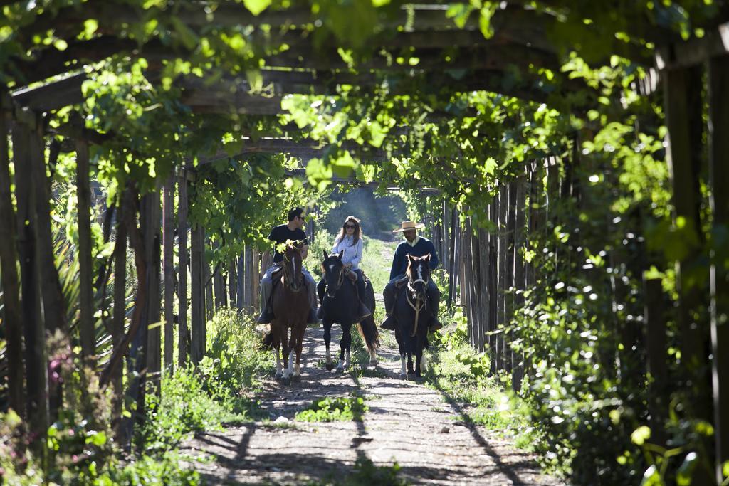 Hacienda Los Lingues Chile Valle De Colchagua Экстерьер фото